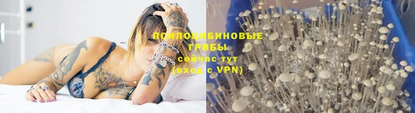 прущий лед Арсеньев