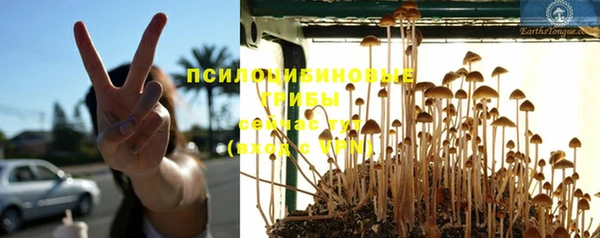 эйфоретик Армянск