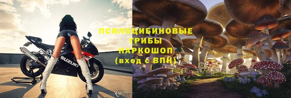 мяу мяу мука Аркадак