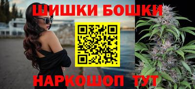 шишки Владимир
