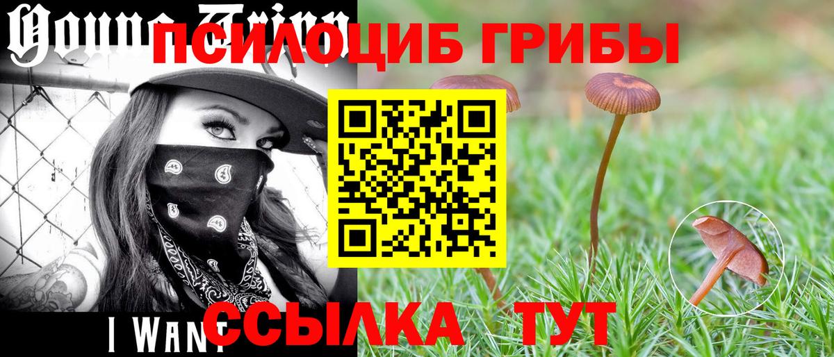 Псилоцибиновые грибы Cubensis Учалы